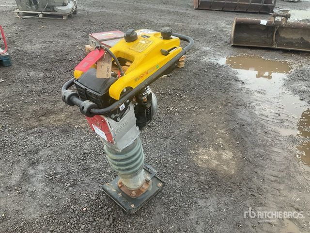 2020 Wacker Neuson BS50-2plus Demolition Breaker Jumping Jack Tamper - Разбивач: слика 1 2020 Wacker Neuson BS50-2plus Demolition Breaker Jumping Jack Tamper - Разбивач: слика 1