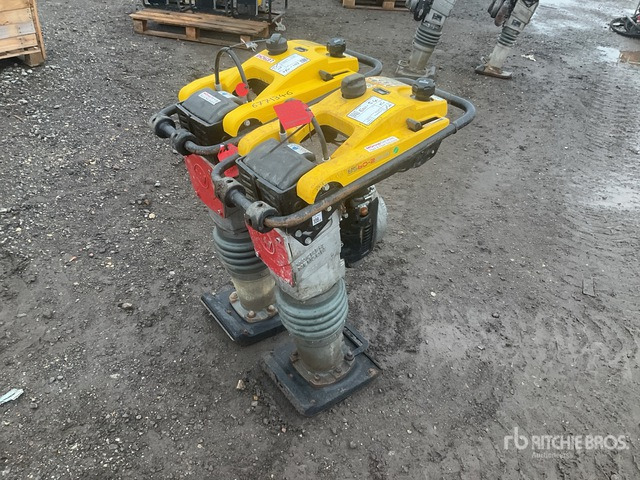 2020 Wacker Neuson BS50-2plus Jumping Jack Tamper Jumping Jack Tamper - Разбивач: слика 1 2020 Wacker Neuson BS50-2plus Jumping Jack Tamper Jumping Jack Tamper - Разбивач: слика 1