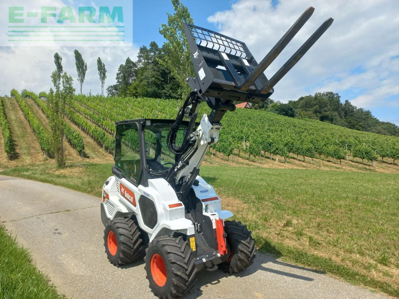 Bobcat l 28 e - Мини багер: слика 3 Bobcat l 28 e - Мини багер: слика 3
