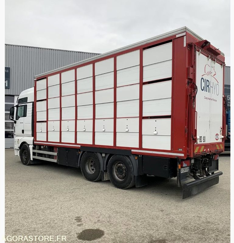 Camion Remorque MAN TGX 500 Bétaillère Guitton 3 étages - Камион: слика 5 Camion Remorque MAN TGX 500 Bétaillère Guitton 3 étages - Камион: слика 5