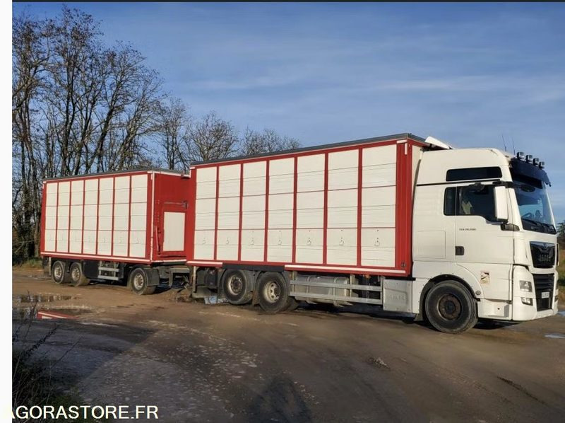 Camion Remorque MAN TGX 500 Bétaillère Guitton 3 étages - Камион: слика 1 Camion Remorque MAN TGX 500 Bétaillère Guitton 3 étages - Камион: слика 1