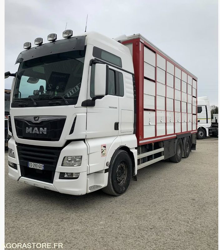 Camion Remorque MAN TGX 500 Bétaillère Guitton 3 étages - Камион: слика 4 Camion Remorque MAN TGX 500 Bétaillère Guitton 3 étages - Камион: слика 4