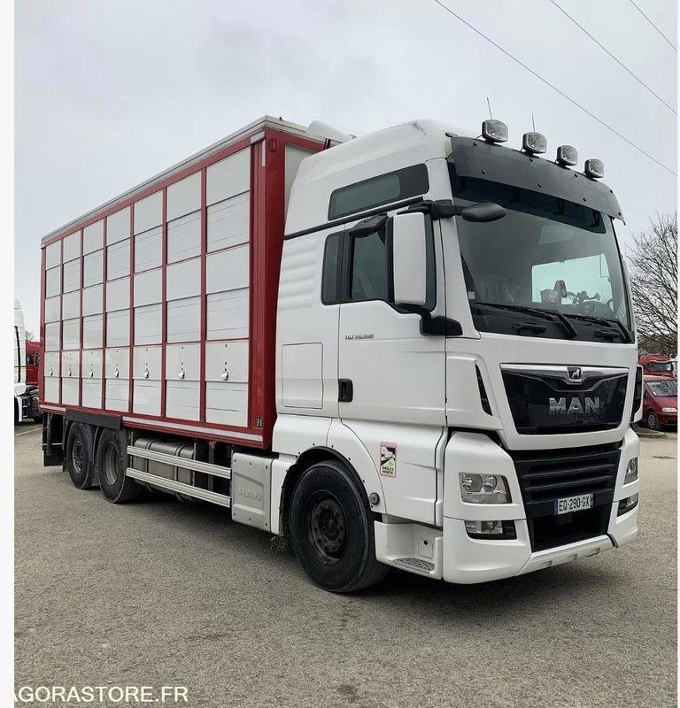 Camion Remorque MAN TGX 500 Bétaillère Guitton 3 étages - Камион: слика 3 Camion Remorque MAN TGX 500 Bétaillère Guitton 3 étages - Камион: слика 3