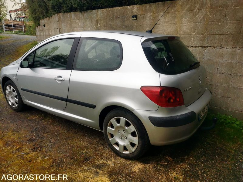 PEUGEOT 307 - Автомобил: слика 3 PEUGEOT 307 - Автомобил: слика 3