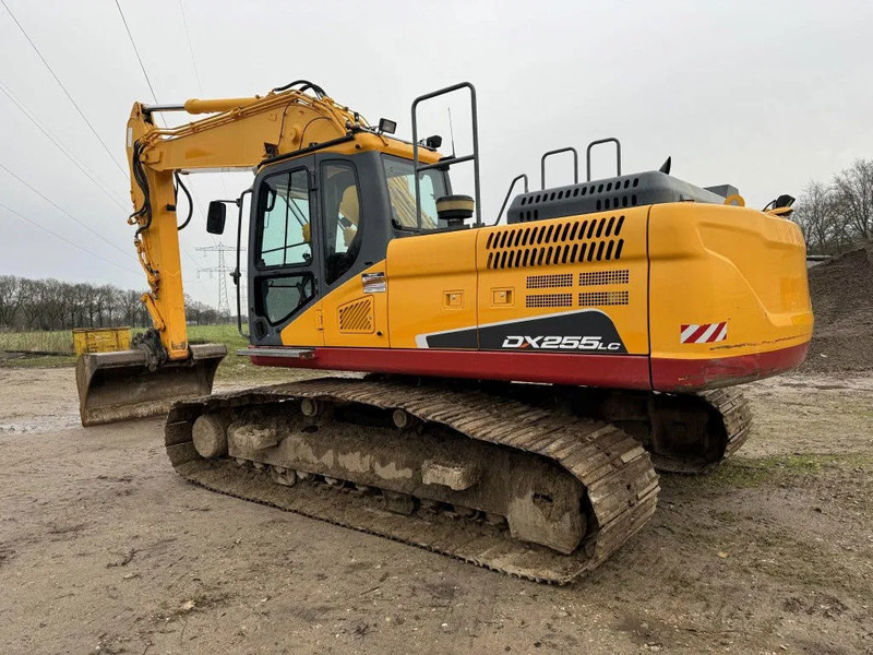 Doosan DX255LC-5 2015 10800 hr STRAIGHT FROM WORK ! DUTCH MACHINE ! - Багер гасеничар: слика 2 Doosan DX255LC-5 2015 10800 hr STRAIGHT FROM WORK ! DUTCH MACHINE ! - Багер гасеничар: слика 2