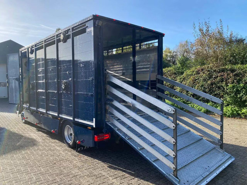 DAF LF 280 - Камион за добиток: слика 5 DAF LF 280 - Камион за добиток: слика 5