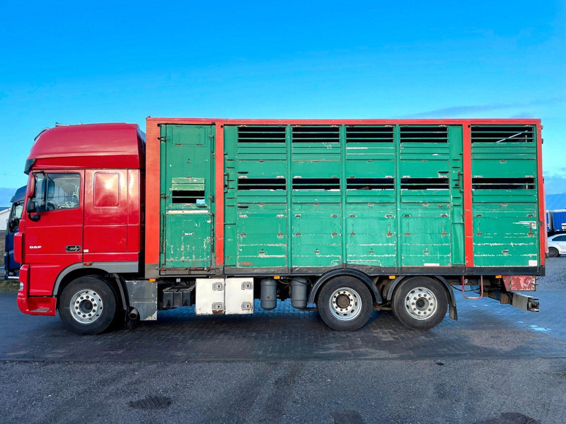 DAF XF 105.460 2-Stock Finkl Viehaufbau / Lenkachs - Камион за добиток: слика 5 DAF XF 105.460 2-Stock Finkl Viehaufbau / Lenkachs - Камион за добиток: слика 5