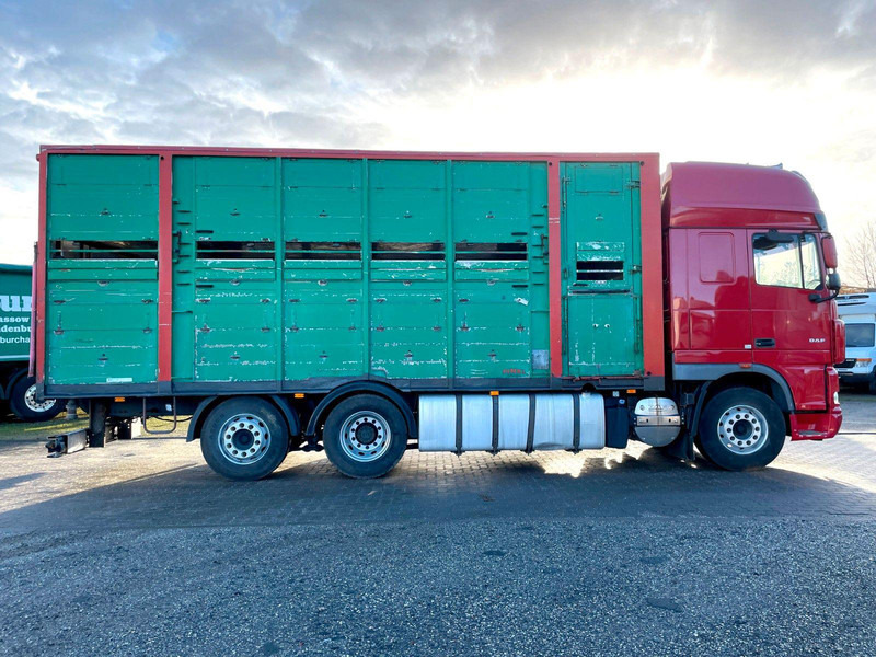 DAF XF 105.460 2-Stock Finkl Viehaufbau / Lenkachs - Камион за добиток: слика 4 DAF XF 105.460 2-Stock Finkl Viehaufbau / Lenkachs - Камион за добиток: слика 4
