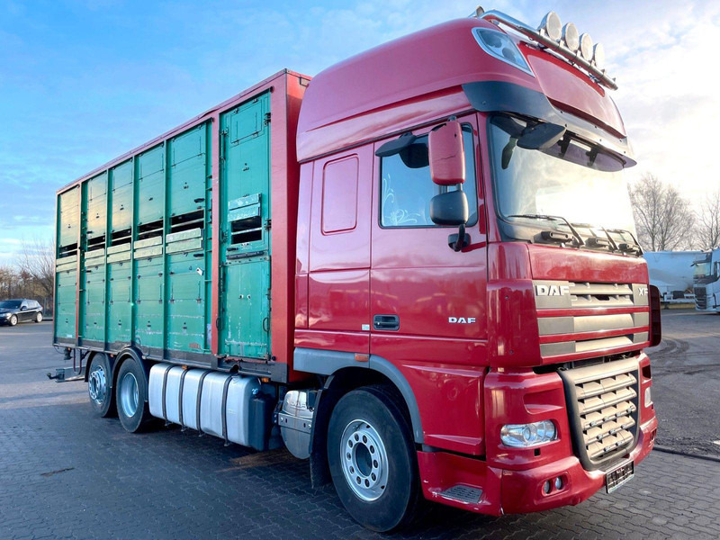 DAF XF 105.460 2-Stock Finkl Viehaufbau / Lenkachs - Камион за добиток: слика 1 DAF XF 105.460 2-Stock Finkl Viehaufbau / Lenkachs - Камион за добиток: слика 1