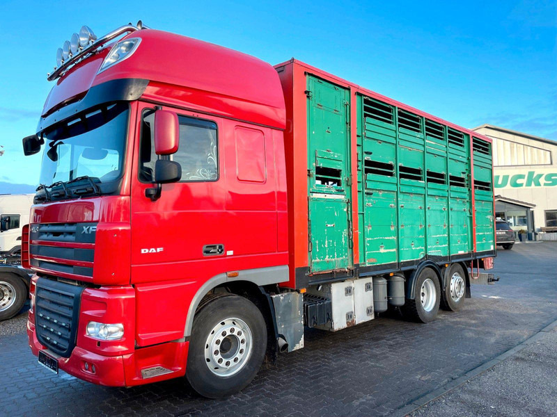 DAF XF 105.460 2-Stock Finkl Viehaufbau / Lenkachs - Камион за добиток: слика 2 DAF XF 105.460 2-Stock Finkl Viehaufbau / Lenkachs - Камион за добиток: слика 2