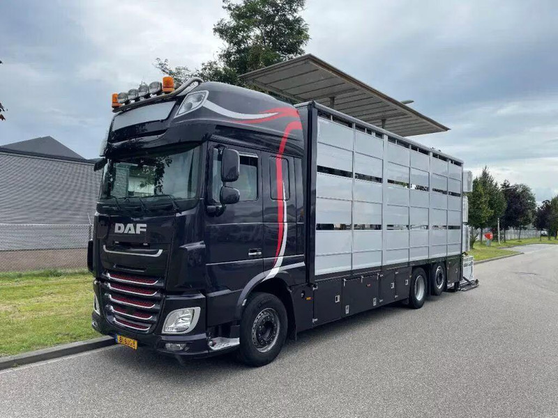 DAF XF 460 - Animal transporter - Камион за добиток: слика 3 DAF XF 460 - Animal transporter - Камион за добиток: слика 3