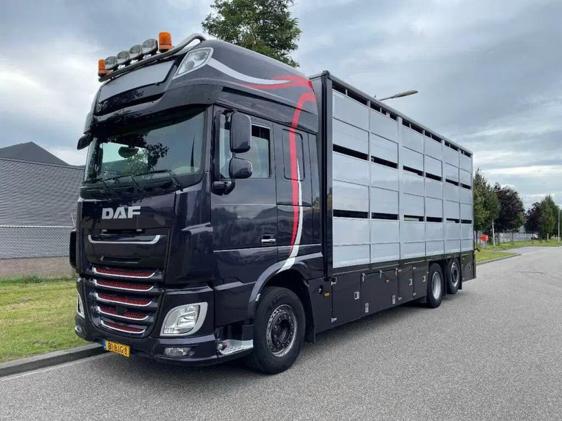 DAF XF 460 - Animal transporter - Камион за добиток: слика 1 DAF XF 460 - Animal transporter - Камион за добиток: слика 1