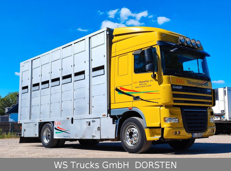 DAF XF410 Menke Doppelstock - Камион за добиток: слика 3 DAF XF410 Menke Doppelstock - Камион за добиток: слика 3