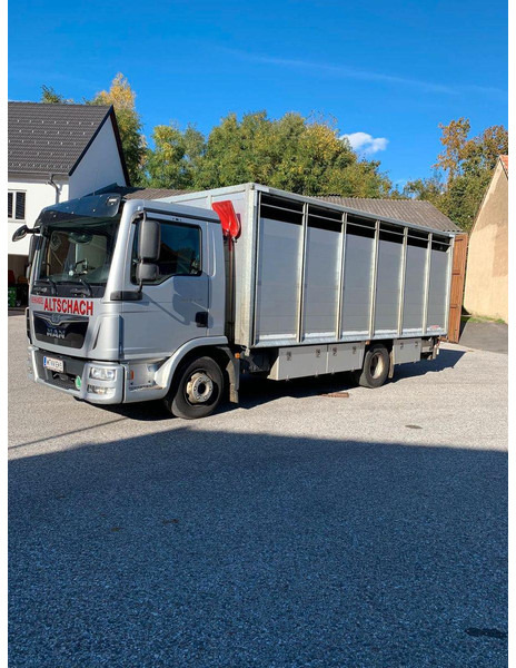 MAN TGL 12.250 - Камион за добиток: слика 2 MAN TGL 12.250 - Камион за добиток: слика 2