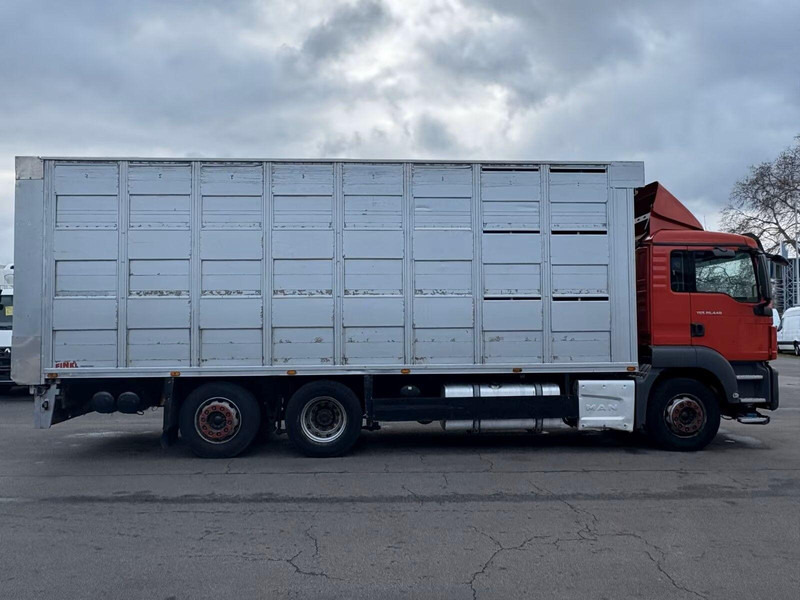 MAN TGS 26.440 - Animal transporter - Камион за добиток: слика 4 MAN TGS 26.440 - Animal transporter - Камион за добиток: слика 4