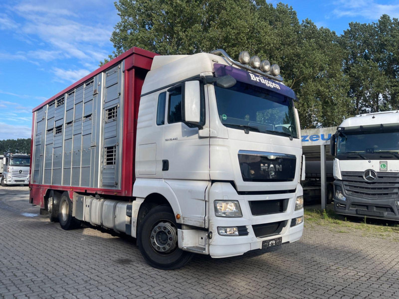 MAN TGX 26.400 6x2-2 LL 3 Stück Finkl Hubdach - Камион за добиток: слика 5 MAN TGX 26.400 6x2-2 LL 3 Stück Finkl Hubdach - Камион за добиток: слика 5