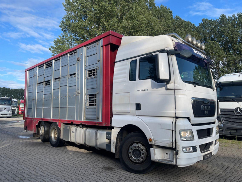MAN TGX 26.400 6x2-2 LL 3 Stück Finkl Hubdach - Камион за добиток: слика 1 MAN TGX 26.400 6x2-2 LL 3 Stück Finkl Hubdach - Камион за добиток: слика 1