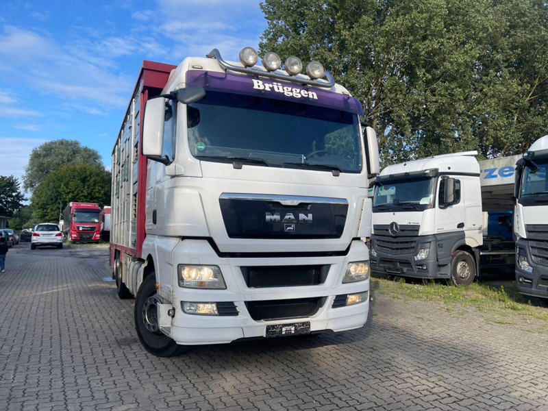 MAN TGX 26.400 6x2-2 LL 3 Stück Finkl Hubdach - Камион за добиток: слика 4 MAN TGX 26.400 6x2-2 LL 3 Stück Finkl Hubdach - Камион за добиток: слика 4