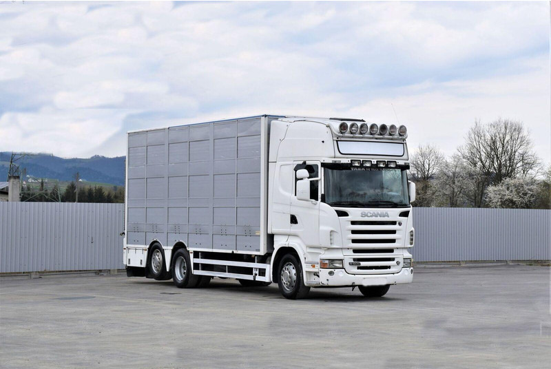 Scania R 500 - Камион за добиток: слика 2 Scania R 500 - Камион за добиток: слика 2
