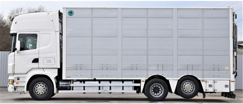 Scania R 500 - Камион за добиток: слика 3 Scania R 500 - Камион за добиток: слика 3