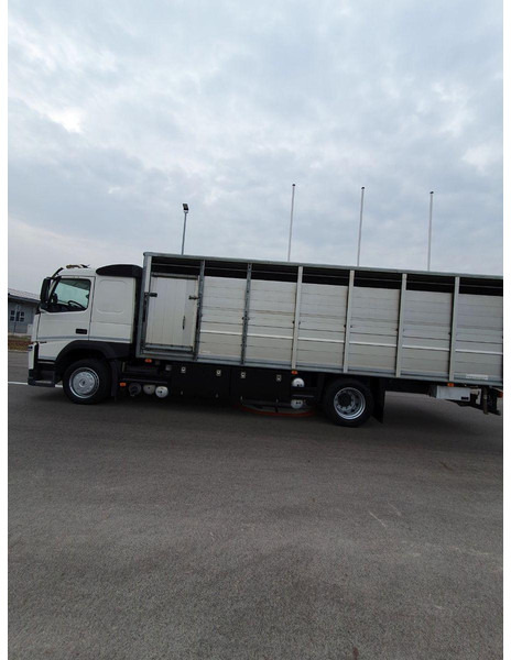 Volvo FM 500 Viehtransporter ( Rind / beef ) - Камион за добиток: слика 5 Volvo FM 500 Viehtransporter ( Rind / beef ) - Камион за добиток: слика 5