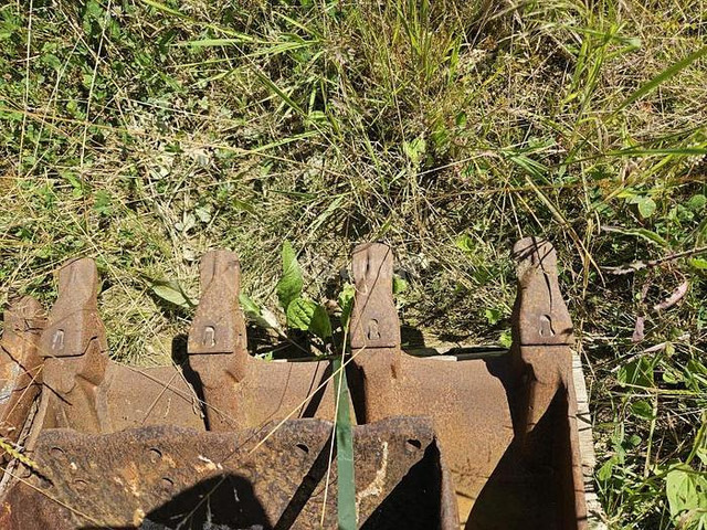 ARDEN QA11 - Корпа: слика 3 ARDEN QA11 - Корпа: слика 3