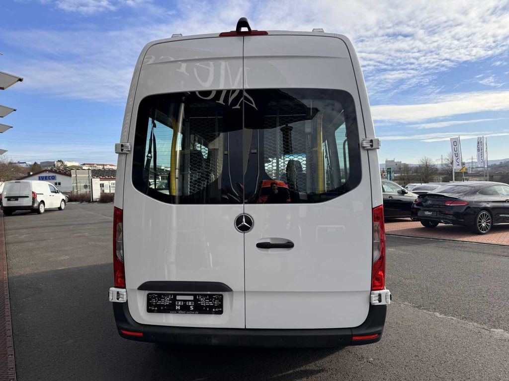Mercedes-Benz Sprinter 316 CDI Rollstuhl-/Behinderten-Lift AMF - Минибус, Патничко комбе: слика 5 Mercedes-Benz Sprinter 316 CDI Rollstuhl-/Behinderten-Lift AMF - Минибус, Патничко комбе: слика 5