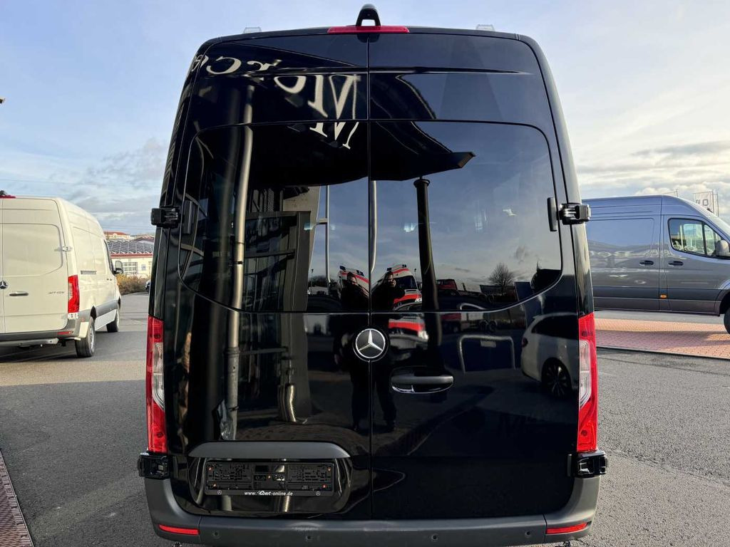 Лизинг на Mercedes-Benz Sprinter 317 CDI Rollstuhl-/Behinderten-Lift AMF  Mercedes-Benz Sprinter 317 CDI Rollstuhl-/Behinderten-Lift AMF: слика 7