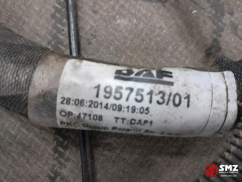 DAF Occ hoofdchassiskabelboom DAF - Појас за кабел/ Жица за Камион: слика 3 DAF Occ hoofdchassiskabelboom DAF - Појас за кабел/ Жица за Камион: слика 3