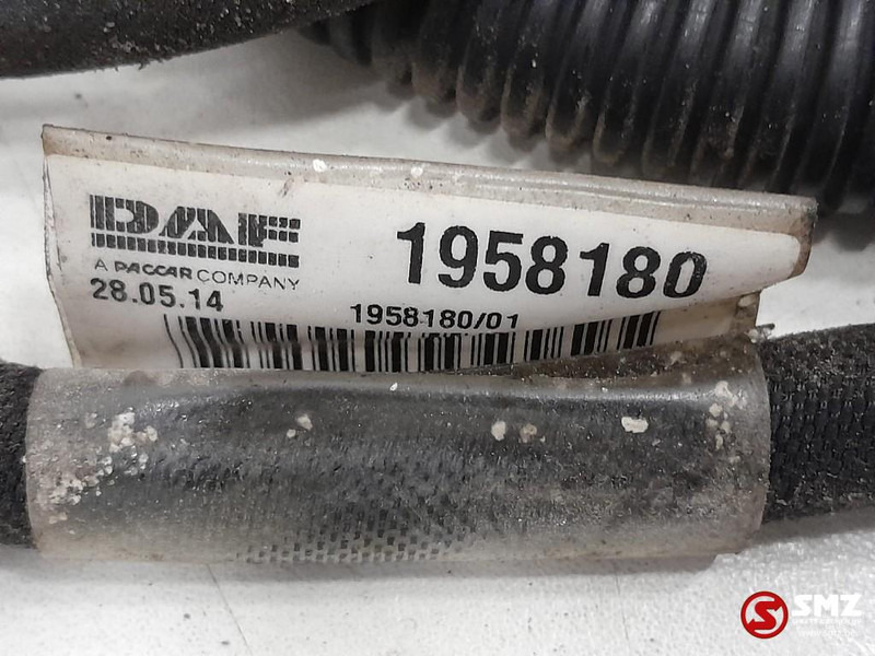 DAF Occ koplampkabelboom DAF - Појас за кабел/ Жица за Камион: слика 3 DAF Occ koplampkabelboom DAF - Појас за кабел/ Жица за Камион: слика 3