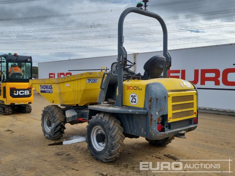 2019 Wacker Neuson 3001 - Мини истоварувач: слика 3 2019 Wacker Neuson 3001 - Мини истоварувач: слика 3