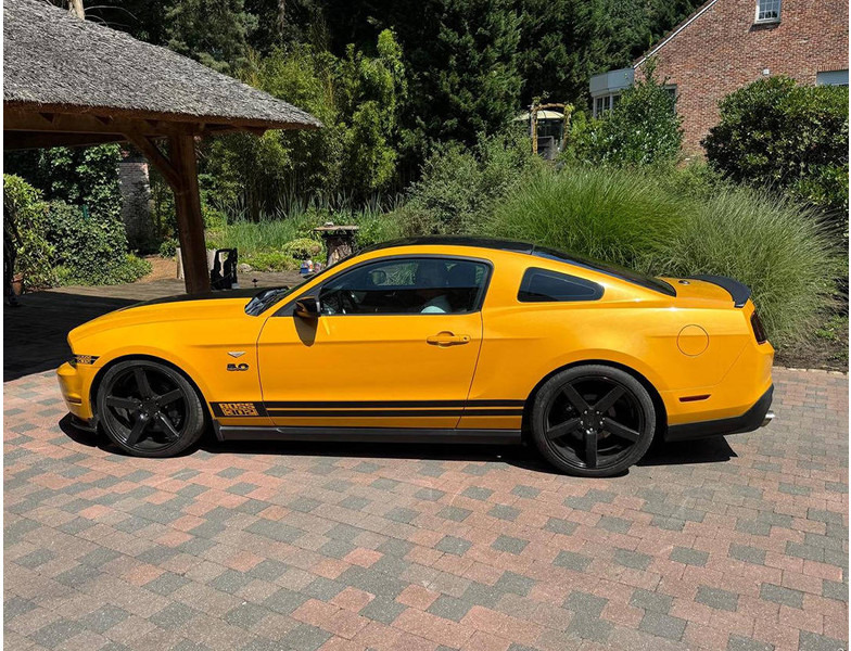 Ford Mustang GT Boss 302 - Седан: слика 3 Ford Mustang GT Boss 302 - Седан: слика 3