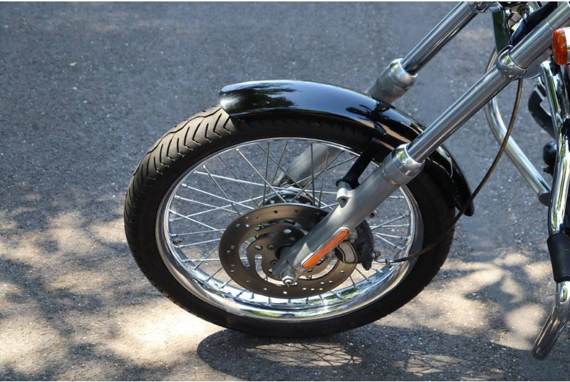 Мотоцикл Harley-Davidson Softail Custom: слика 11