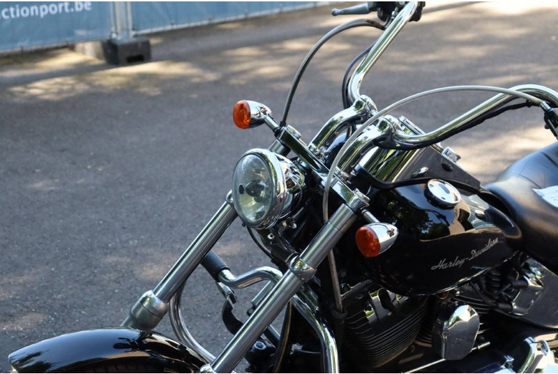 Мотоцикл Harley-Davidson Softail Custom: слика 12