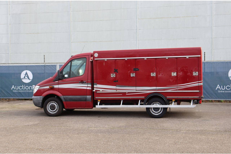 Mercedes-Benz 313CDI - Комбе фургон: слика 3 Mercedes-Benz 313CDI - Комбе фургон: слика 3