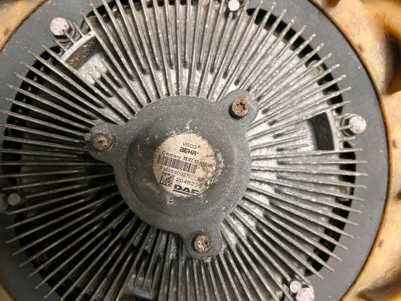 DAF - Фен: слика 4 DAF - Фен: слика 4