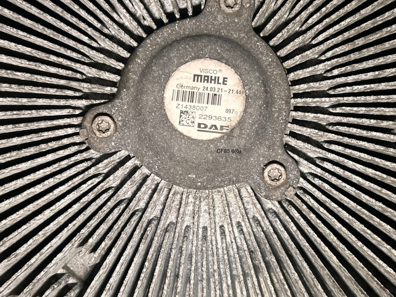 DAF - Фен: слика 3 DAF - Фен: слика 3