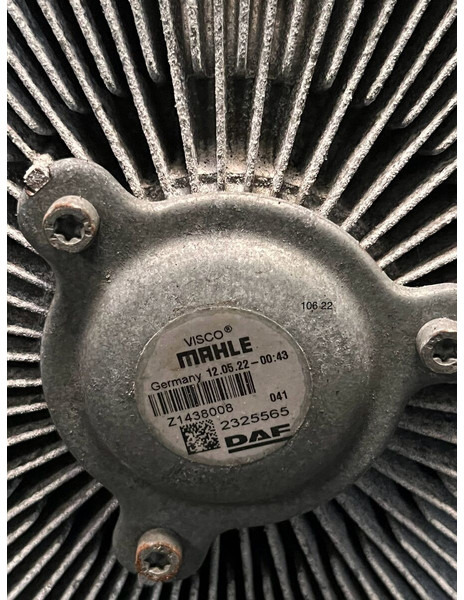 DAF - Фен: слика 2 DAF - Фен: слика 2