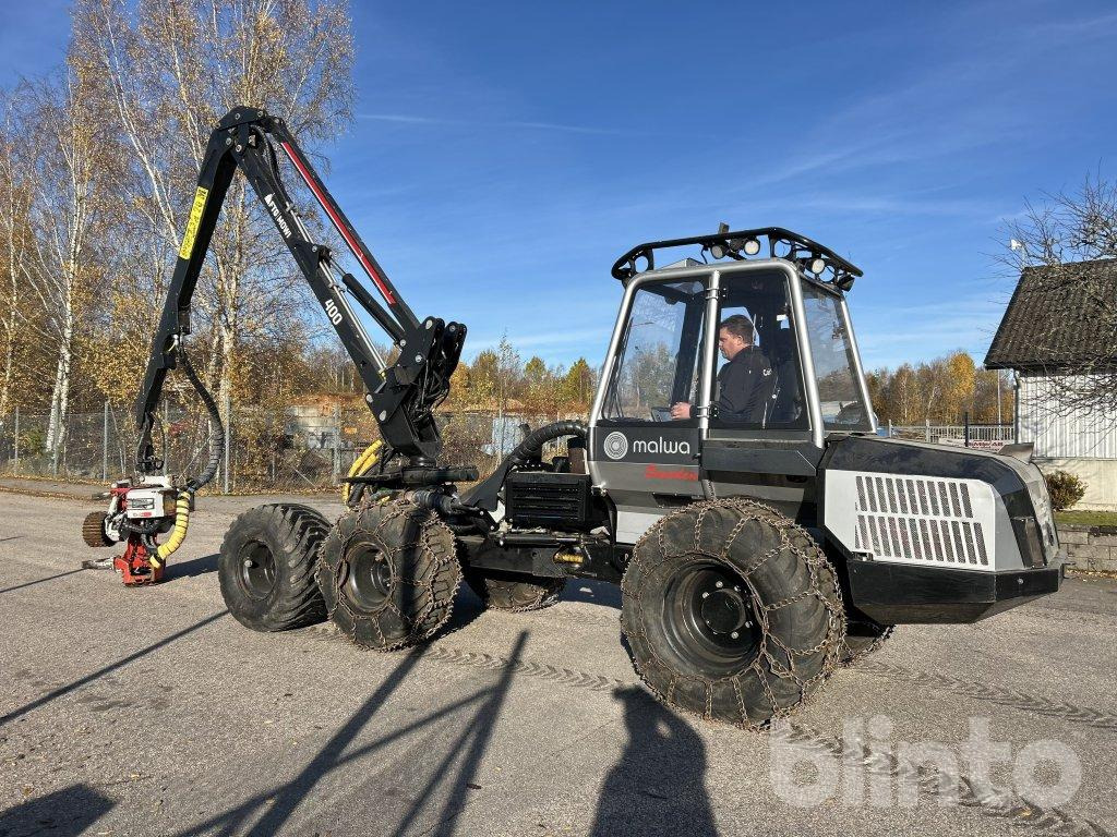 Malwa - Шумски жнеач: слика 3 Malwa - Шумски жнеач: слика 3